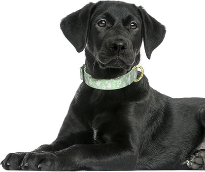 Rnivvi Dog Collar for Large Dogs, Cute Floral Heavy Duty Adjustable Puppy Collar with Quick Release Buckle for Girl & Female, Pet Accessories for Walking Running, L Length 1" Width, Green