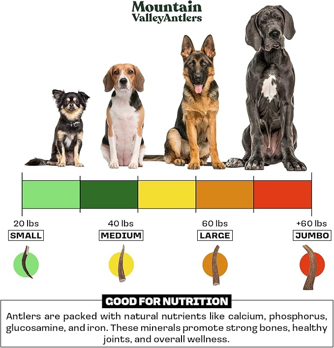 Mountain Valley Elk Antlers for Dogs - 100% Natural & Organic Chew for Aggressive Chewers, No Odor, No Mess, Long Lasting - Wild-Foraged Naturally Shed Antlers in USA - Grade A, Whole Small (3 Pack)
