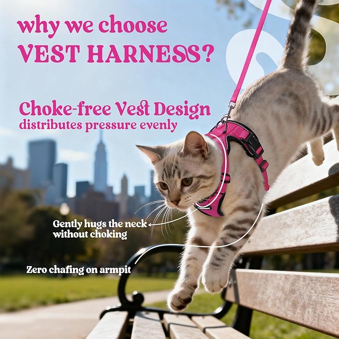 rabbitgoo Cat Harness and Leash for Walking, Escape Proof Soft Adjustable Vest Harnesses for Cats, Easy Control Breathable Reflective Strips Jacket, Rose Red, XS
