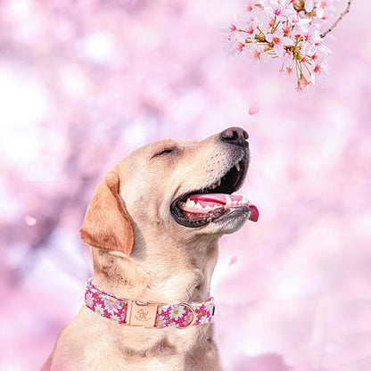 Elegant little tail Dog Collar, Pink Floral Pattern Pet Collar Durable Cute Dog Collars Summer Female Pet Gift Adjustable Dog Collar for Medium Dogs