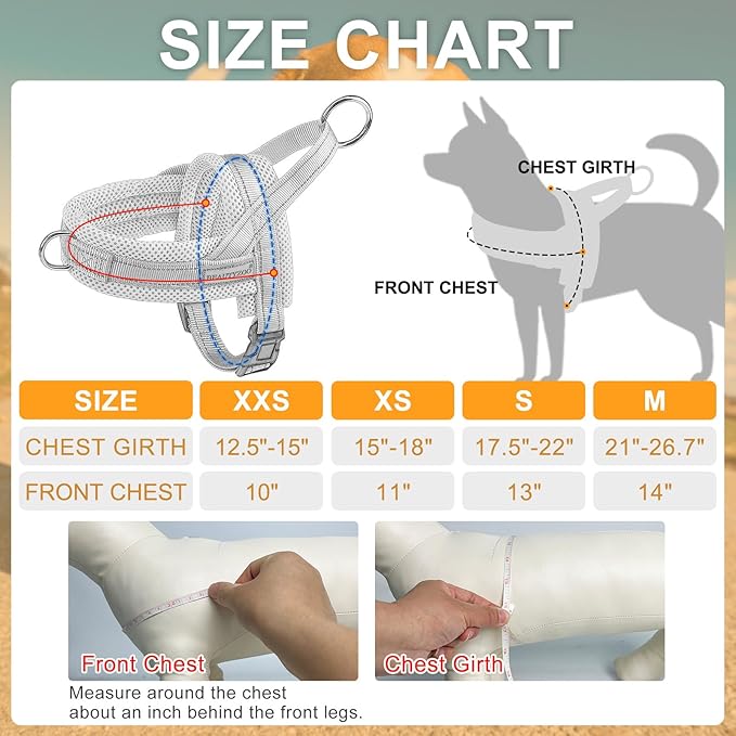 BEAUTYZOO Dog Harness for Small Dogs, No Pull Dog Harness and Leash Set, Soft Escape Proof Puppy Vest Harness with Handle, Reflective Lightweight Step in Harness for Girl Boy Dogs, Green XS