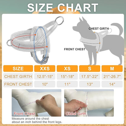 BEAUTYZOO Dog Harness for Small Dogs, No Pull Dog Harness and Leash Set, Soft Escape Proof Puppy Vest Harness with Handle, Reflective Lightweight Step in Harness for Girl Boy Dogs, Purple XS