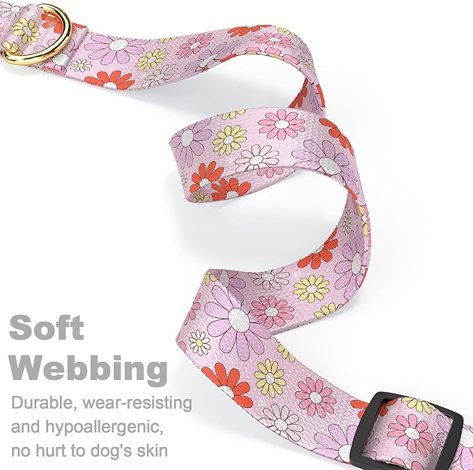 Rnivvi Dog Collar for Medium Dogs, Cute Heavy Duty Adjustable Puppy Collar with Quick Release Buckle for Girl & Female, Pet Accessories for Walking Running, M Length 1" Width, Colorful Chamomile