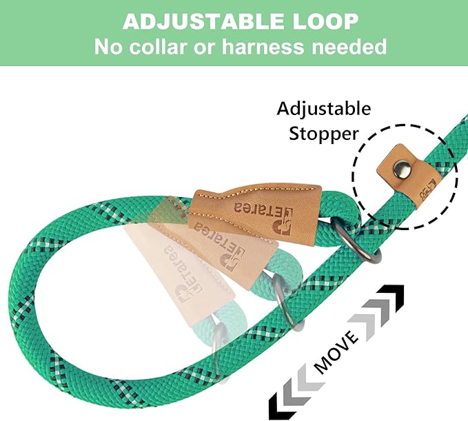 5 FT Slip Lead, Heavy Duty Rope Leash for Small to Large Dogs, No Pull Training Lead with Reflective Thread, Strong Comfortable Loop (Green Stripe, Large(1/2"))