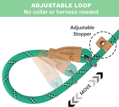 5 FT Slip Lead, Heavy Duty Rope Leash for Small to Large Dogs, No Pull Training Lead with Reflective Thread, Strong Comfortable Loop (Green Stripe, Large(1/2"))