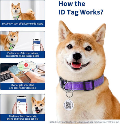 Reflective Dog Collar for Extra Small Dogs with Dog Tags Personalized & Quick Release Buckle, Adjustable and Comfortable Nylon Pet Collar, Purple