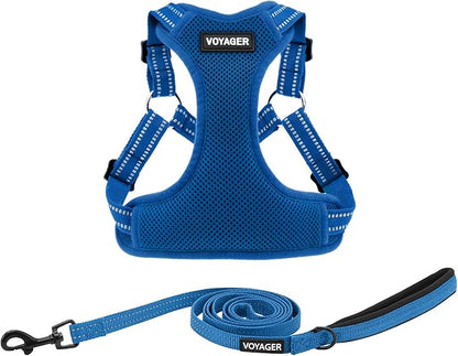 Best Pet Supplies Voyager Adjustable Step-in Flex Breathable Mesh Dog Harness for Small Medium Large Dogs Leash Set (Royal Blue), XS