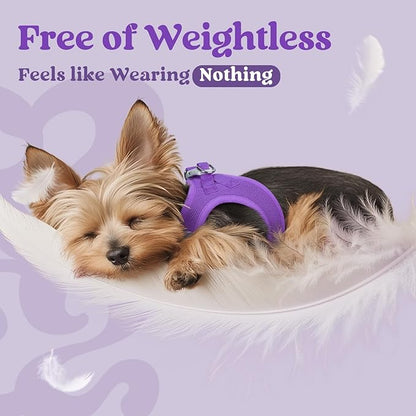 rabbitgoo Small Dog Harness, Step-in Soft Mesh Puppy Vest with Safety Buckle, Breathable Reflective Pet Harness for Small Medium Dogs, Purple L
