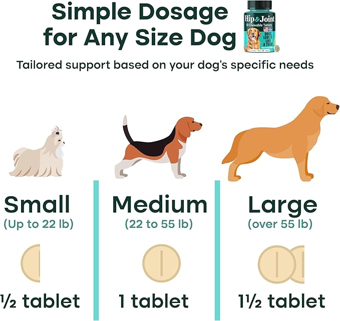Natureflow Hip and Joint Supplement for Dogs, Advanced Dog Joint Supplement with Green-Lipped Mussel, Glucosamine, MSM & Chondroitin, Zero Sugar Chewable Pills, Made in USA, Large Medium Small Breeds