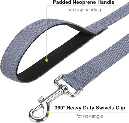 6FT Reflective Nylon Dog Leash with Soft Padded Handle for Walking, Running and Training, Supports Small Medium and Large Dogs (Grey, 1 Inch Wide)