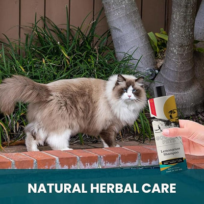 Gou Gou Pets Holistic, Natural and Clean Pet Care Lemongrass Shampoo: Veterinarian Recommended - Hydrate Your Pet’s Coat With Our Hypoallergenic Shampoo For Dogs, Cats and Horses - Made in USA - 16 oz