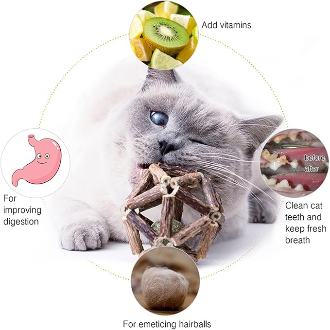 Gochanmon Catnip Toys-2Pcs Natural Silvervine Stick Catnip Ball&Bell Ball-Cat Toys for Indoor Cats- Cleaning Teeth Molar Tools Matatabi Cat Chew Toy-Kitten Toys All Breeds