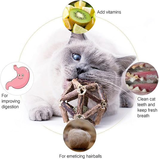 Gochanmon Catnip Toys-2Pcs Natural Silvervine Stick Catnip Ball&Bell Ball-Cat Toys for Indoor Cats- Cleaning Teeth Molar Tools Matatabi Cat Chew Toy-Kitten Toys All Breeds