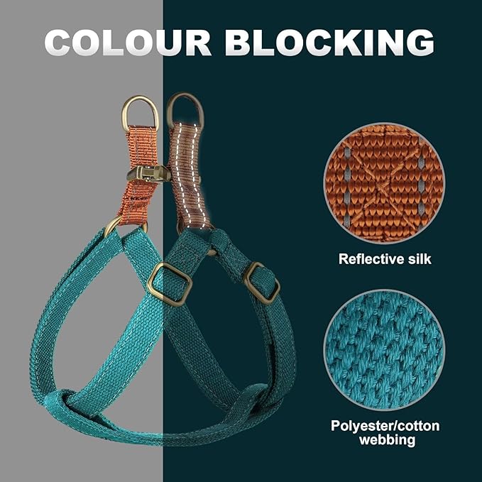 Didog Step in Dog Harness with Metal Buckles, Freedom Nylon Dog Halter Vests for Small Dogs Easy Walking Training(S:Chest 13-22", Blue)