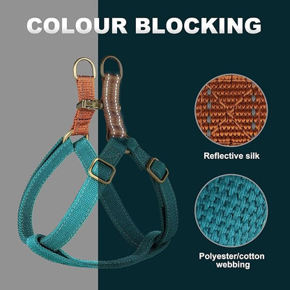 Didog Step in Dog Harness with Metal Buckles, Freedom Nylon Dog Halter Vests for Small Dogs Easy Walking Training(S:Chest 13-22", Blue)