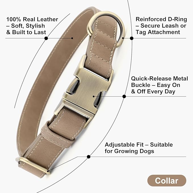 Plutus Pet Genuine Leather Dog Collar – Adjustable Pet Collar with Quick Release Metal Buckle, Soft Real Leather for Small Medium Large Dogs, Heavy Duty & Skin-Friendly (Ash Brown, XS)