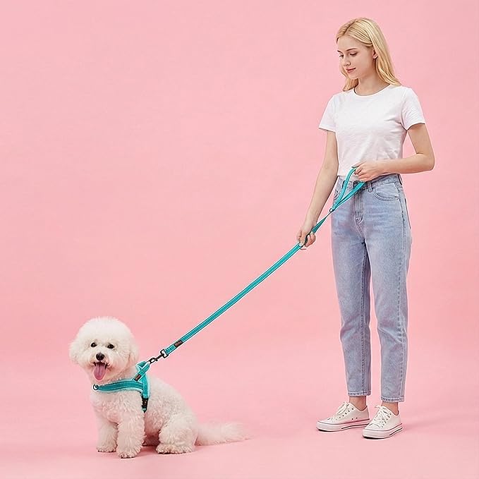 Didog Soft Flannel Padded Dog Vest Harness,Escape Proof/Quick Fit Reflective Dog Strap Harness, Easy for Training Walking(XS:Chest 15-18", Teal)