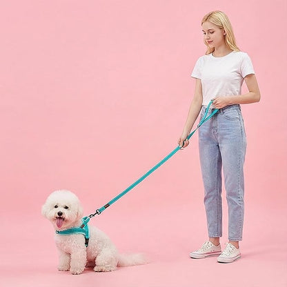 Didog Soft Flannel Padded Dog Vest Harness,Escape Proof/Quick Fit Reflective Dog Strap Harness, Easy for Training Walking(XS:Chest 15-18", Teal)