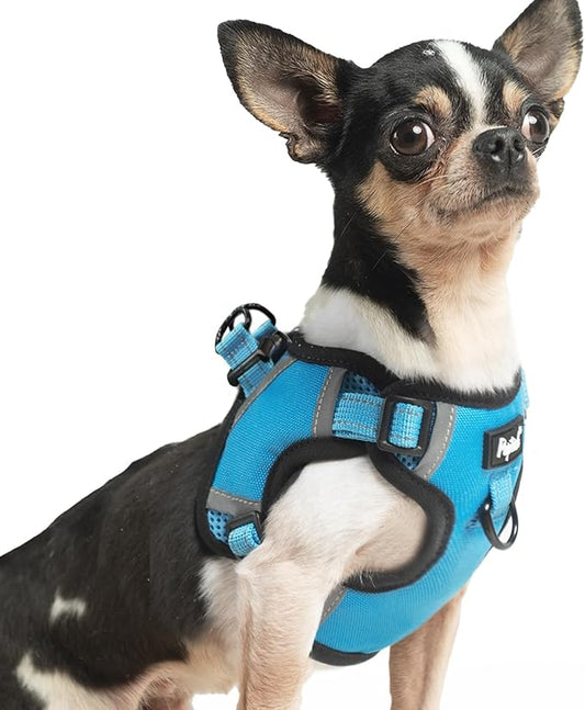 PUPTECK No Pull Dog Harness Small Sized Dog, Adjustable Reflective Escape Proof Easy Control, Comfortable Soft Padded Step in Pet Vest Harness, Blue, XS