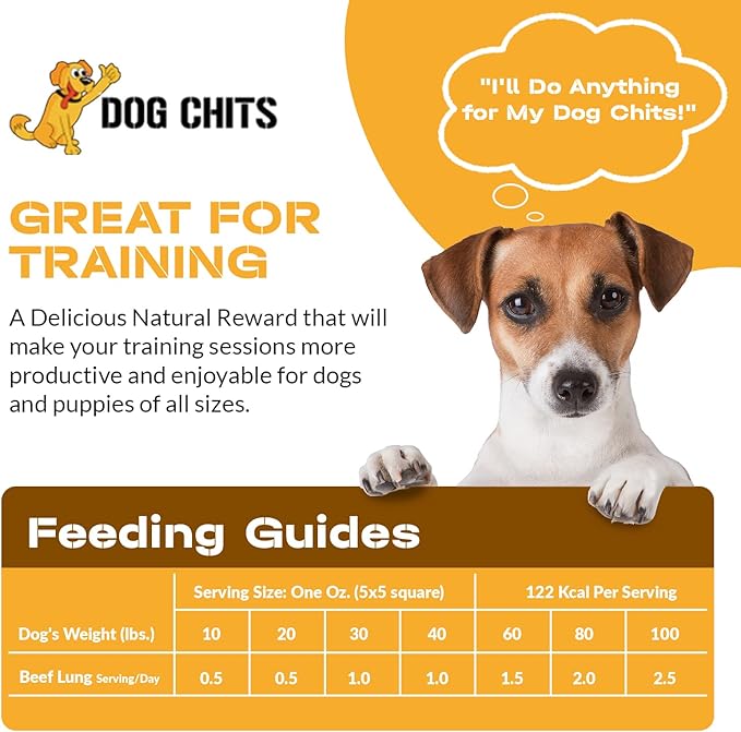 Dog Chits Beef Lung Fillets Dog and Puppy Treats – All Natural Chews for Dogs – Grain-Free, High-Protein, Low Fat Single Ingredient Dog Treat – Ideal for All Dogs – Large, 5 oz – Made in USA