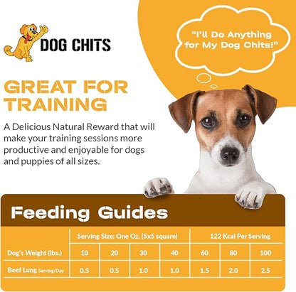 Dog Chits Beef Lung Fillets Dog and Puppy Treats – All Natural Chews for Dogs – Grain-Free, High-Protein, Low Fat Single Ingredient Dog Treat – Ideal for All Dogs – Large, 5 oz – Made in USA