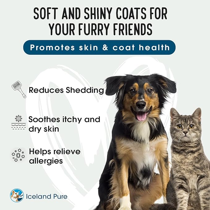 Iceland Pure Salmon Oil | Unscented Pharmaceutical Grade | 1118mg of Omega-3 per teaspoon | Liquid Food Supplement For Dogs and Cats | BPA-Free Brushed Aluminum Epoxy coated Bottle with Pump 8.75oz