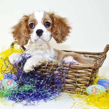 Unique Style Paws Easter Dog Collar with Bow Blue Colorful Rabbit Easter Heart Cotton Polyester Puppy Collars for Small Medium Large Dogs