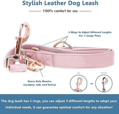Soft Leather Dog Collar and Leash (6.6') Set - Stylish Rose Gold Heavy Duty Metal Buckle, 4 Adjustable Lengths Leash for Small Medium Large Dogs - Comfortable & Easy to Clean Pink XS(8"-12")