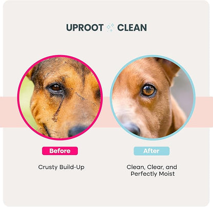 Uproot Clean Cat & Dog Eye Wipes: Hypoallergenic Eye Wipes for Dogs (100ct.) - Gentle & Cleansing Tear Stain Remover for Dogs - Reduce Discharge, Tear Stain Deep Clean Wrinkles Cats