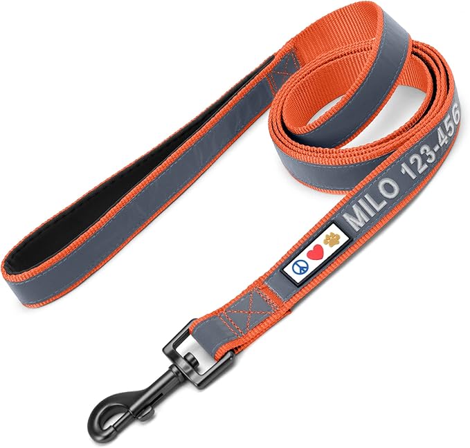 Pawtitas Personalized Orange Dog Leash 6 ft Custom ID Lead for Dogs & Puppies Reflective Comfortable Padded Handle Embroidered Name & Phone Number
