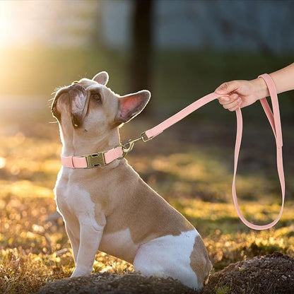 Didog PU Leather Dog Leash, Colorful Dog Leash 4ft, Strong and Durable Faux Leather Lead, Walking and Training Lead for Small Medium Dogs,Pink