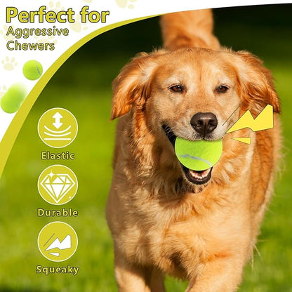 Swingers Squeaky Tennis Balls for Dogs,2.5 inch Training Tennis Balls,Exercise Ball for Pet Dog with Mesh Carry Bag Easy to Transport (Multicolor, 6 Pack)