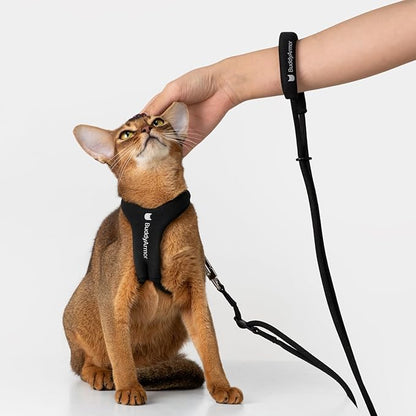 BuddyArmor Escape Proof Y Shape Cat Harness Anti-Choke Buckle Adjustable Comfortable Padded Cat Vest Harness Anti Escape Cat Rope Harness for Kitten Small Medium Large Cats (Olive, S)