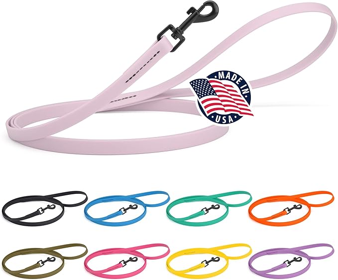 Dogline Biothane Waterproof Dog Leash Strong Coated Nylon Webbing with Black Hardware Odor-Proof Easy to Clean High Performance for Small or Large Dogs Made in USA 4 or 6 ft Lead, Pastel Purple