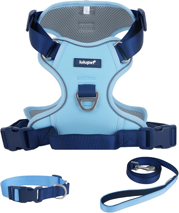 No Pull Dog Harness Leash and Collar Set, Soft Adjustable Dogs Vest Reflective and Comfortable Handle Blue Medium
