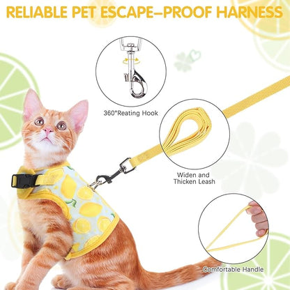 BINGPET Cat Harness and Leash Set Escape Proof for Walking,Step-in Harness with Lightweight Soft Breathable Mesh,Adjustable Easy Control Harness (Sunshine Citrine, M(Chest:10.5-13.5"))