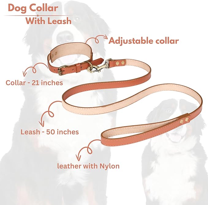 Lightnpro 21" Adjustable Tan Leather Dog Collar & Leash Set - Durable Soft Leather Collar with Leash - Comfortable, Heavy-Duty Walking & Training Gear for Large Breeds