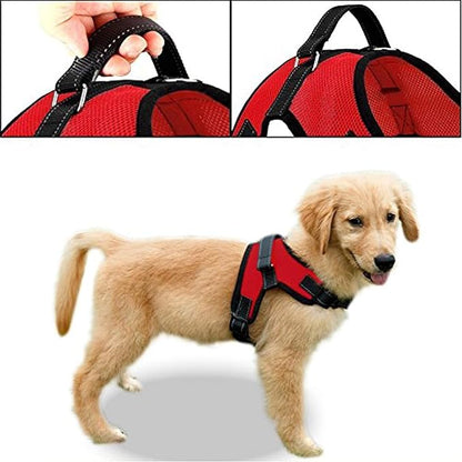 No Pull Reflective Adjustable Dog Harness With Handle- Comfortable Soft All Weather Mesh, Easy On Puppy Harness For Small Medium and Large Dogs (Red) X-Small
