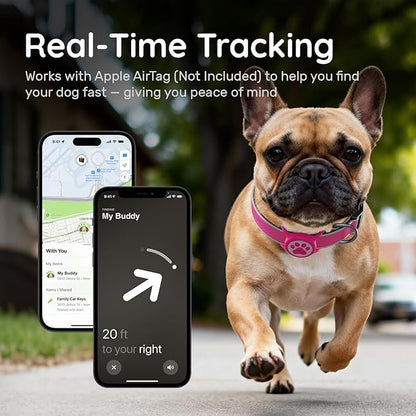 Reflective Dog Collar with Waterproof air tagholder & Anti-Lost QR Code | Ultra-Durable | Soft Padded | Safety Locking Buckle | Fit Large Dogs (Rose Red L(15.7"-23.6"))