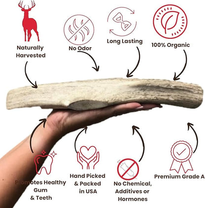 Best Dog Chews Elk Antlers for Dogs Large - Premium Natural Antler Dog Chew for Aggressive Chewers - Long-Lasting Deer Antler Chews - Ideal for Medium to Big Breed Dogs - Elk Bones and Antlers Durable