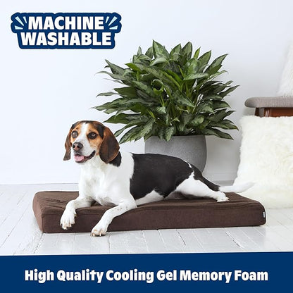 Barkbox Orthopedic Dog Bed with Memory Foam, Premium Comfort for Dogs and Puppies, Dog Bed for Joint Relief and Restful Sleep, Durable and Easy to Clean - Espresso, Large