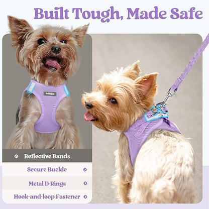 rabbitgoo Dog Harness Small Medium Sized and Leash Set, Step in Soft Light Puppy Vest, Breathable Mesh Pet Harness, Reflective for Safe Easy Walking, Light Purple L