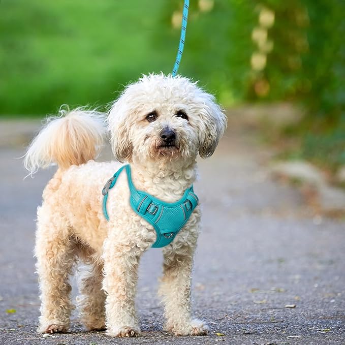 BARKBAY No Pull Dog Harness Large Reflective Dog Harness with Front Clip and Easy Control Handle for Walking Training Running with ID tag Pocket(Ocean Blue,S)