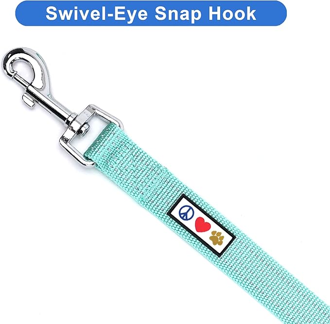 Pawtitas Teal Dog Leash 6 ft M/L Reflective Durable Lightweight Dog Lead for Medium or Large Dogs and Puppies