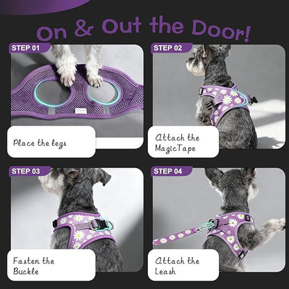 EXPAWLORER Small Dog Harness and Leash Set - Cute Spring Puppy Harness Leash Dog Collar with AirTag Holder Silicone Case, Soft Padded Step in Pet Vest Reflective for Outdoor Walking, Purple Daisy S