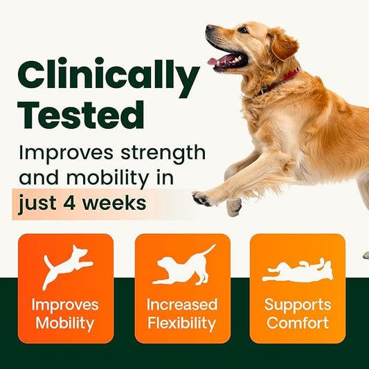 VetriScience HMB Healthy Muscle & Strength Supplement for Dogs, Mobility Support & Muscle Builder with Collagen, Calcium, Vitamin D & Curcumin, Powder, Pork, 8.47 oz - New Look