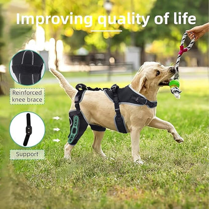 Dog Knee Brace for ACL/CCL Injuries,Torn Ligament,Pain Relief,Joint Warmth,Luxating Patella - Rear Leg Support,Black,Upgraded,Right Legs,L