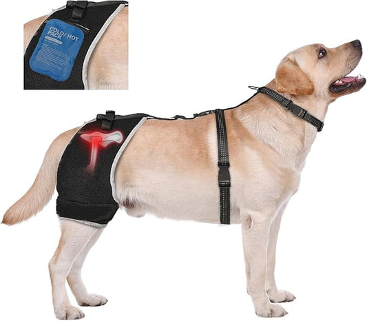 Dog Hip Brace with Removable Hot/Cold Pack for Hip Dysplasia & Mild Rear-Leg Instability, Breathable and Comfortable Support for ACL/Arthritis Recovery, Size M