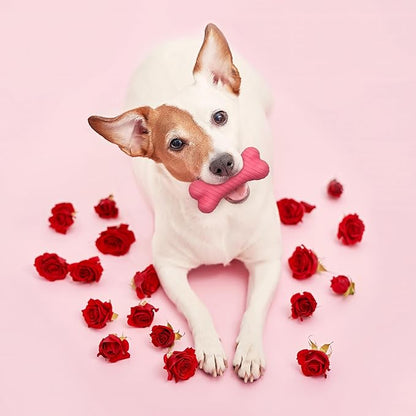 Playology Dog Toys | Dual Layer Bone Durable Chew Toy Bone for Dogs, Value 2-Pack | Small Red Velvet Cake Scented Toy - Limited Edition Valentine's Day Scent | Made from Non Toxic Materials