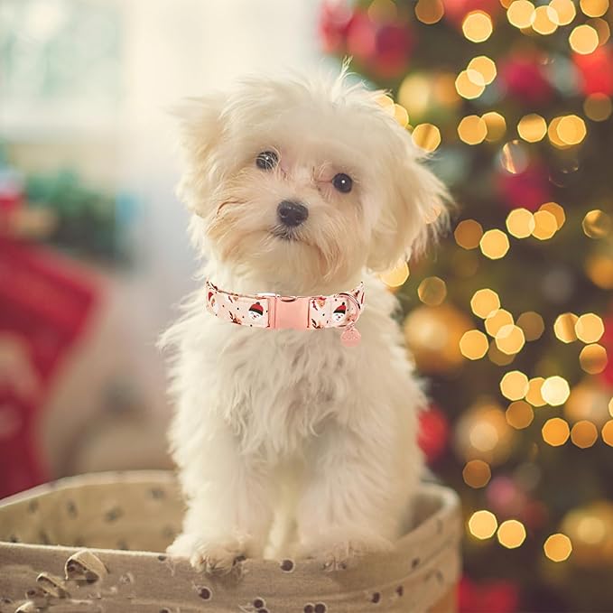 Christmas Dog Collar, Cotton Collar for Puppy Girl Boy Dog or Cat, Comfortable Dog Collar with Durable Metal Buckle, Adorable Pet Collar,S